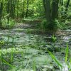 Tour 12: Darß - 1